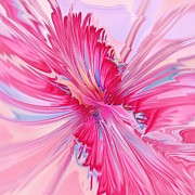 Carnation Pink