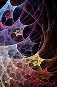 Color Web