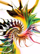 Colors of Passion