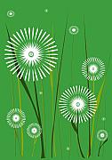 Dandelions