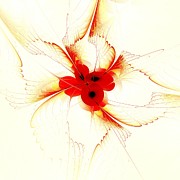 Dream Flower