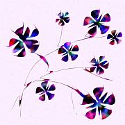 Dream Flowers