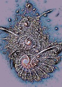 Fossil