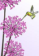 Hummingbird and Allium
