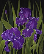 Irises
