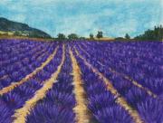 Lavender Afternoon