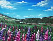 Lupine Hills