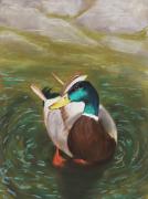 Mallard