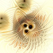 Meld