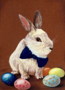 Mr. Rabbit