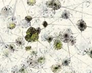 Neural Network