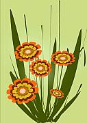 Orange Flowers