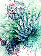 Peacock Tail
