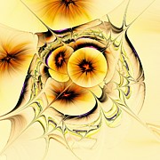 Potpourri