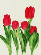 Red Tulips