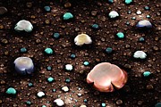 River Gems