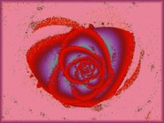 Rose Heart