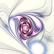 Single Rose