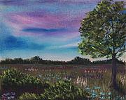 Summer Meadow