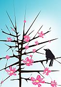Thorns