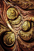 Tree of Life