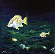 Tropical Fish