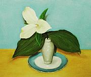 White Trillium