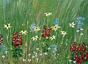 Wild Flowers