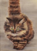 Winter Cat