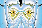 Winter Owl