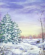 Winter Pine Trees